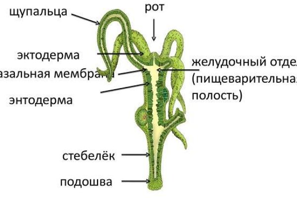 Кракен даркнет только через